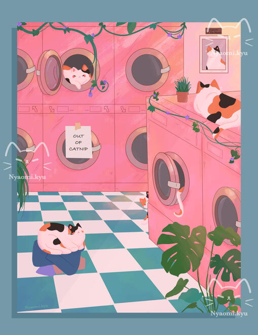 The Calico Laundromat The Calico Laundromat