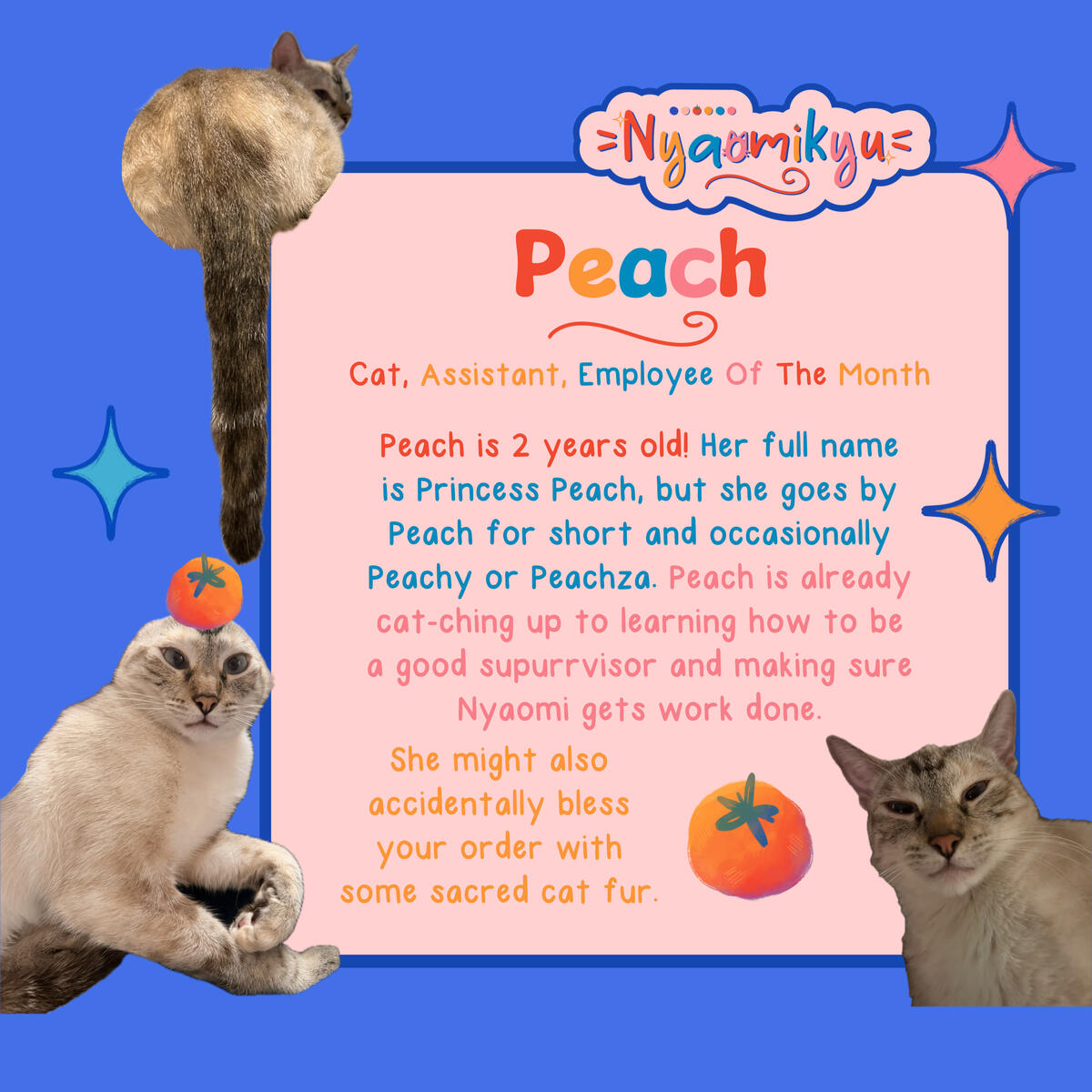 Peach the Cat