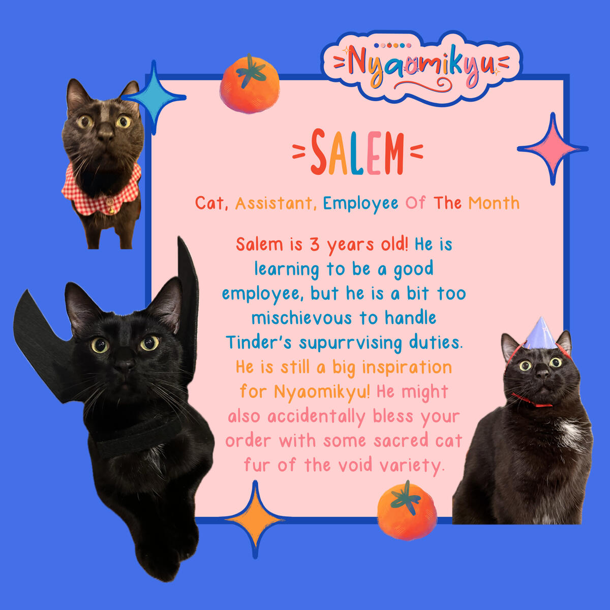 Salem the Cat