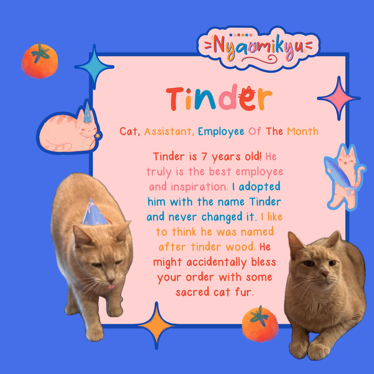 cat cat