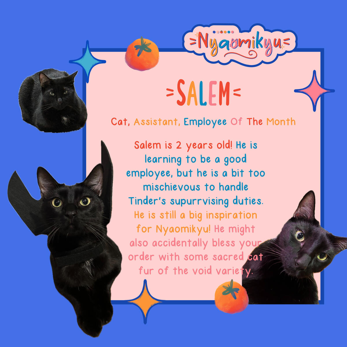 cat cat
